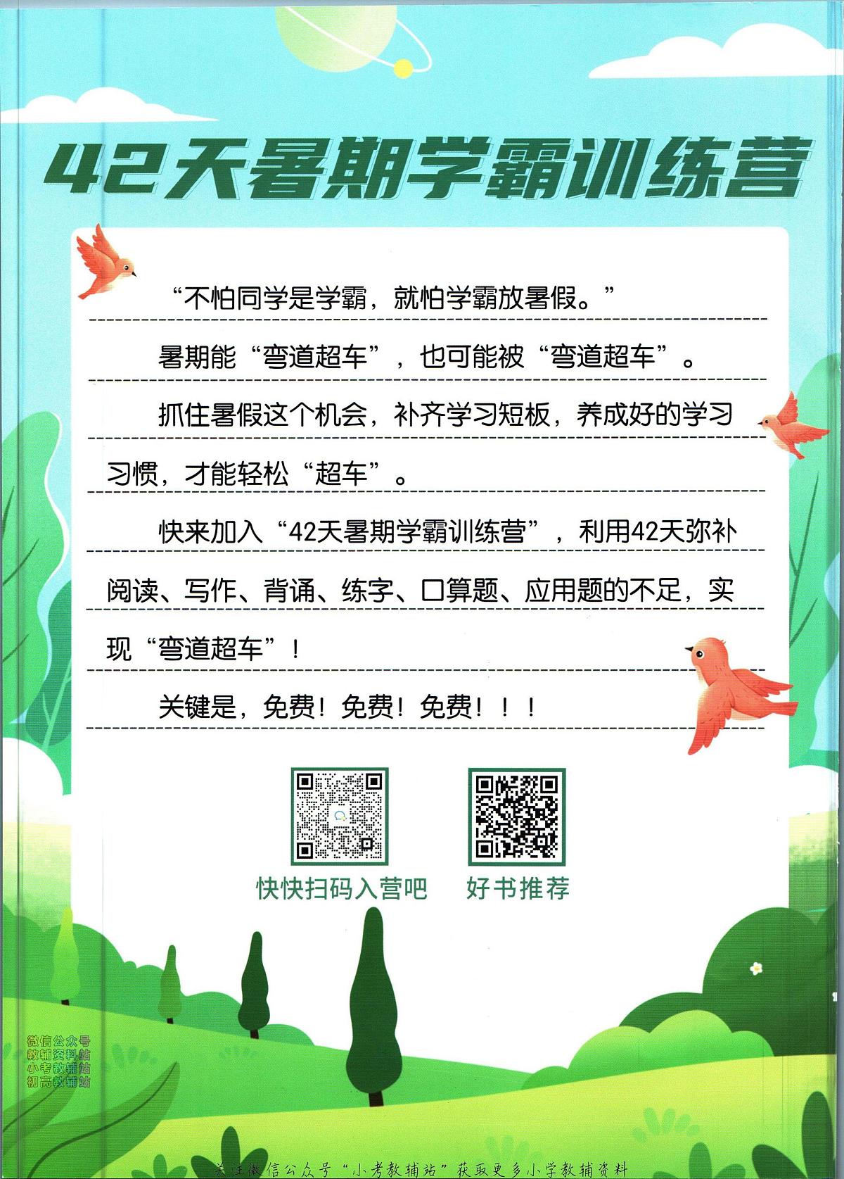 暑假作业暑假字帖二年级下学期衔接语文复习期末试卷语文第2页