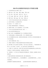 2024年山东省滨州市沾化区小升初语文试卷（含答案）