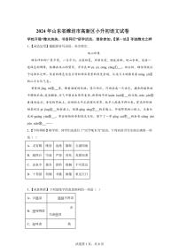 2024年山东省潍坊市高新区小升初语文试卷（含答案）