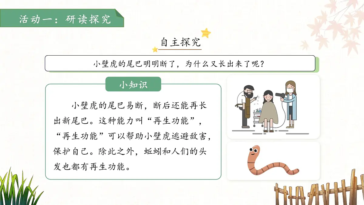 20小壁虎借尾巴 第2课时 课件 语文统编版(2024)一年级下册第八单元第8页