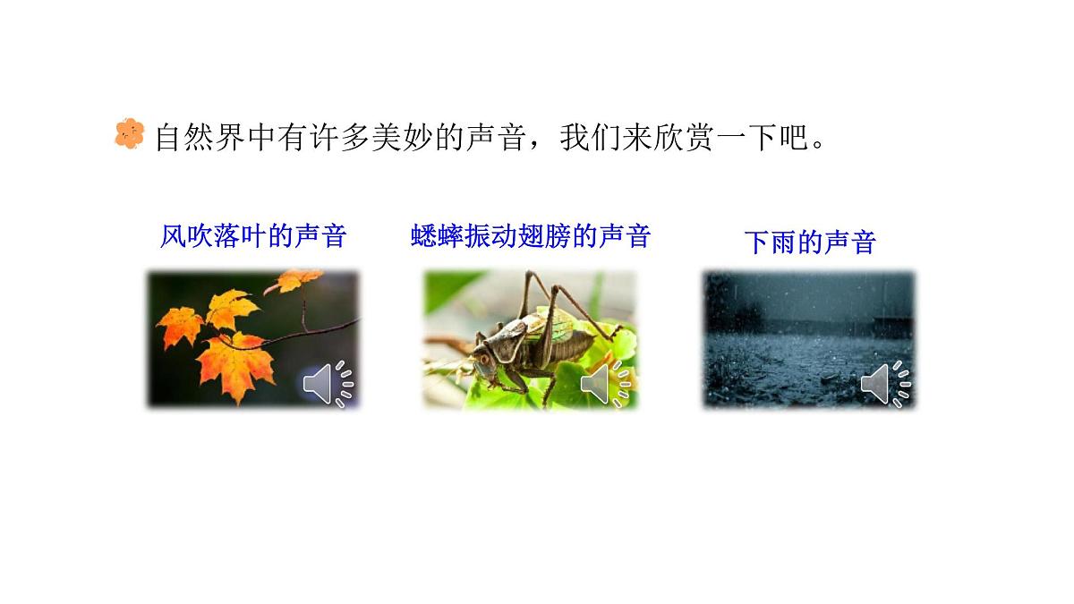 第二单元7.听听秋的声音(课件)2025-2026学年统编版三年级语文上册第4页