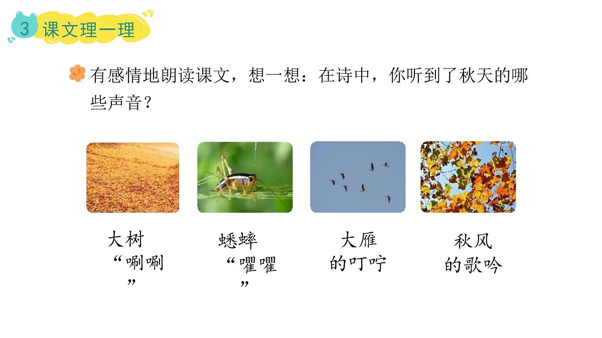 第二单元7.听听秋的声音(课件)2025-2026学年统编版三年级语文上册第7页