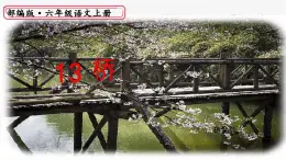 部編版語文六年級(jí)上冊第13課《橋》課件