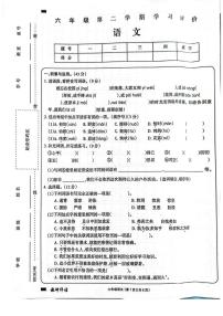 河南省周口市2024-2025学年六年级下学期6月期末语文试卷