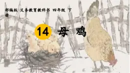 四下《母雞》課件