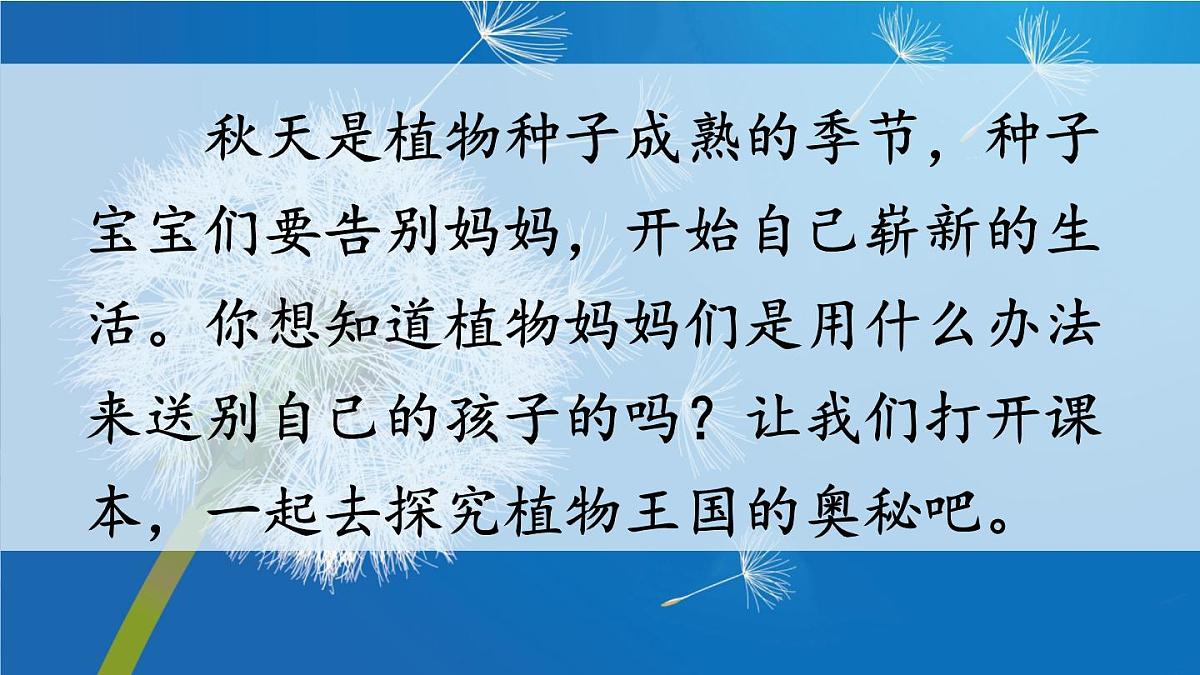 3 植物妈妈有办法【课件】2025-2026学年度统编版语文二年级上册第3页