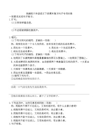 期末复习句子专项训练-2024-2025学年语文六年级下册统编版