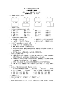 期末教学质量监测（试题）-2024-2025学年统编版语文六年级下册