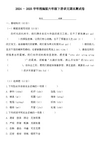 期末测试卷-202-2025学年语文六年级下册统编版