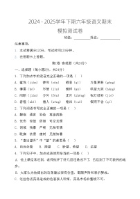 期末测试卷（试题）2024-2025学年统编版语文六年级下册