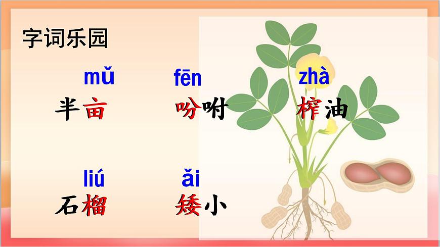 人教部编版语文五上第2课《花生》第一课时 课件第6页