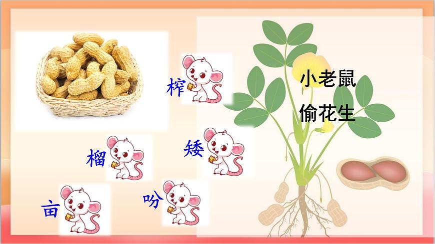 人教部编版语文五上第2课《花生》第一课时 课件第7页