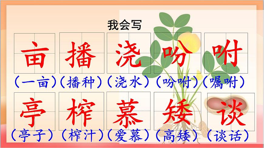 人教部编版语文五上第2课《花生》第一课时 课件第8页