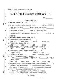 福建省泉州市石狮市2024-2025学年五年级下语文期末试卷