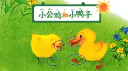 第三單元4+小公雞和小鴨子+課件-2024-2025學年統(tǒng)編版語文一年級下冊