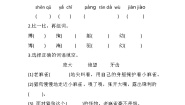 统编版（2024）四年级上册麻雀课后练习题