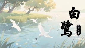 小学统编版（2024）白鹭课文内容ppt课件