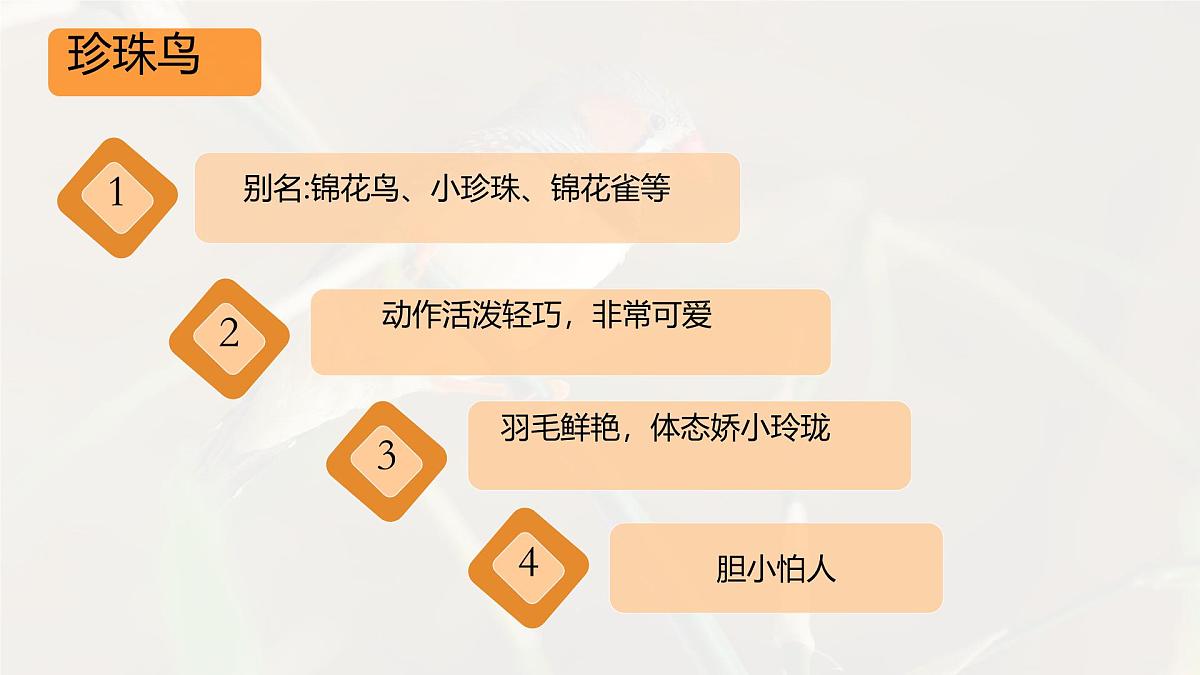统编版语文五年级上册课件《4 珍珠鸟》第3页