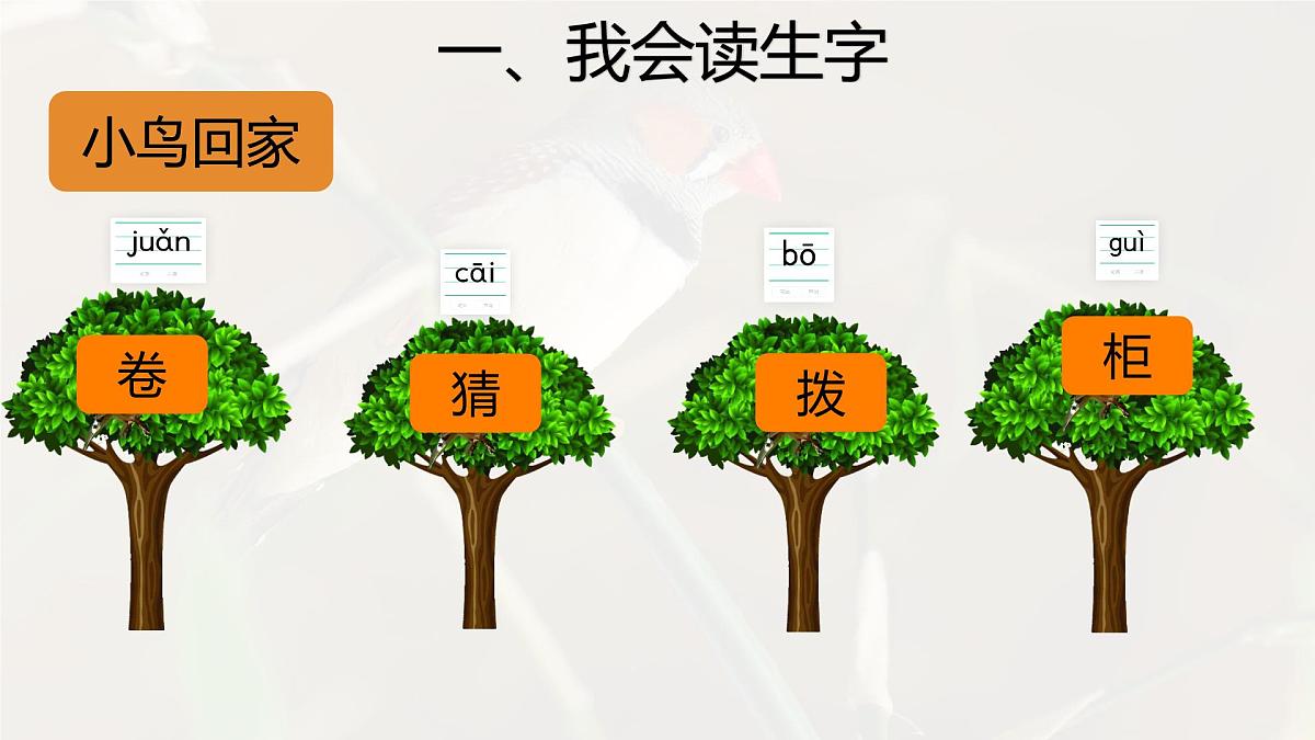 统编版语文五年级上册课件《4 珍珠鸟》第6页