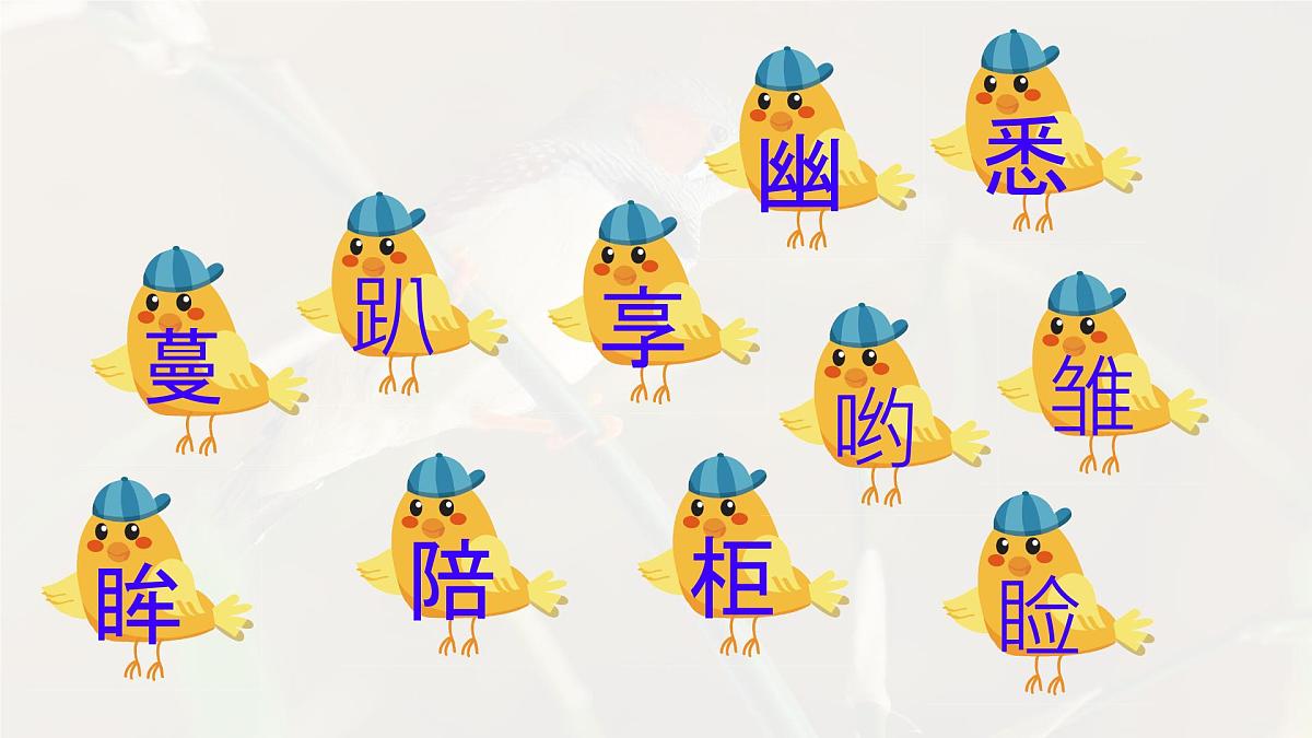 统编版语文五年级上册课件《4 珍珠鸟》第8页
