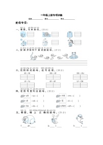 2025学年一年级上册语文统编版期末拼音专项检测卷（有答案）