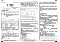 陕西省安康市白河县2024-2025学年四年级下语文期末试卷