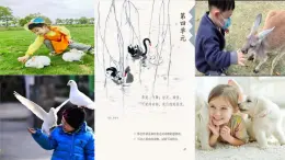 統(tǒng)編版語文四年級下第四單元13貓教學(xué)課件