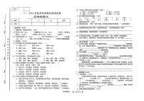 甘肃省陇南市武都区2024-2025学年五年级下语文期末试卷