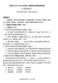 广东省深圳市龙岗区2024-2025学年第二学期六年级语文期末试卷（无答案）