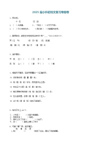 2025届六年级小升初语文专题复习-03汉字同音字（9P）（练习附答案解析）