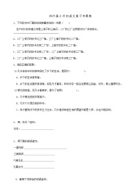 2025届六年级小升初语文专题复习-22句法扩写句子（11P）（练习附答案解析）