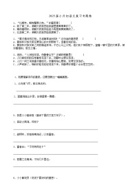 2025届六年级小升初语文专题复习-26句法翻译句子（12P）（练习附答案解析）