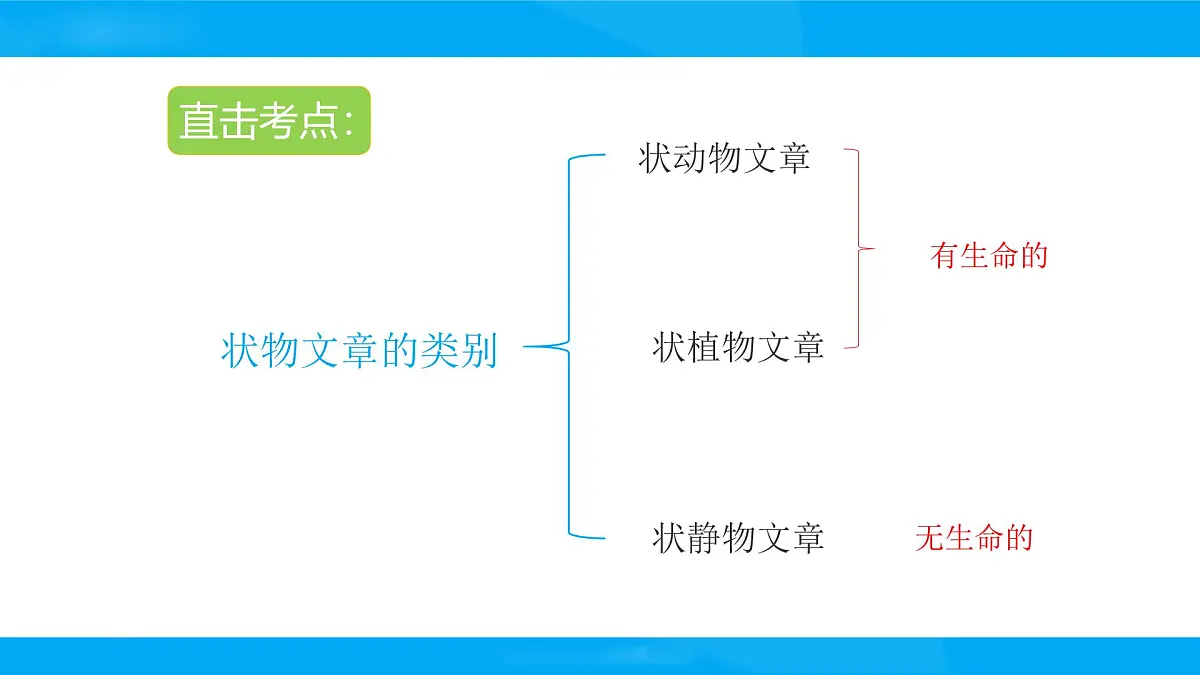 2025六年级小升初语文专题复习-第十六讲 状物文章阅读 课件第3页