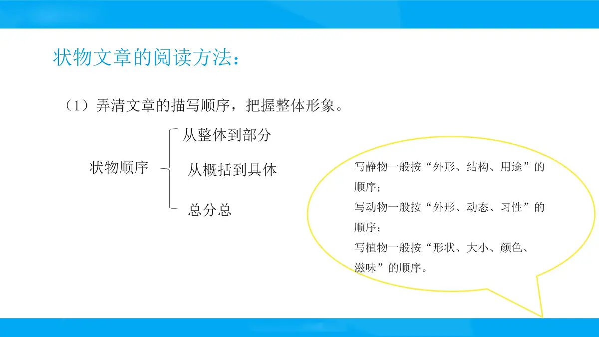 2025六年级小升初语文专题复习-第十六讲 状物文章阅读 课件第4页