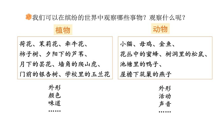 统编版语文三年级上册 第五单元习作:我们眼中的缤纷世界PPTt课件第8页