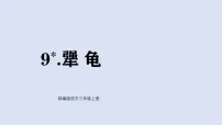 统编版（2024）三年级上册（2024）9 犟龟课堂教学课件ppt
