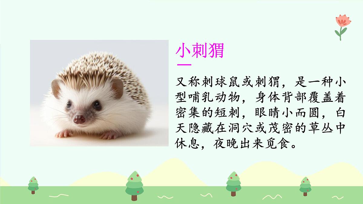 称赞(第1课时)第5页