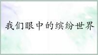 小学语文习作:我们眼中的缤纷世界课堂教学ppt课件