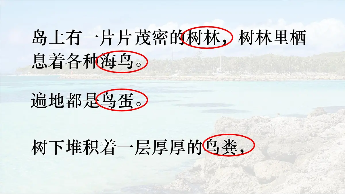 统编版语文三年级上册课件《16 富饶的西沙群岛》第5页