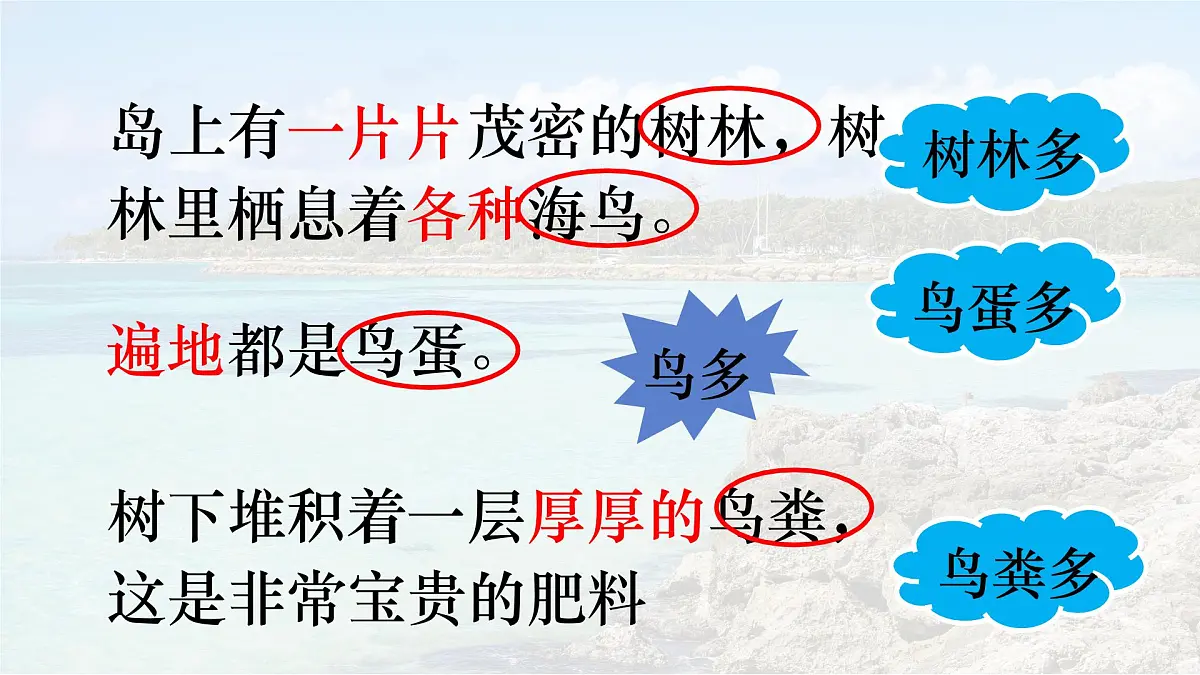 统编版语文三年级上册课件《16 富饶的西沙群岛》第6页