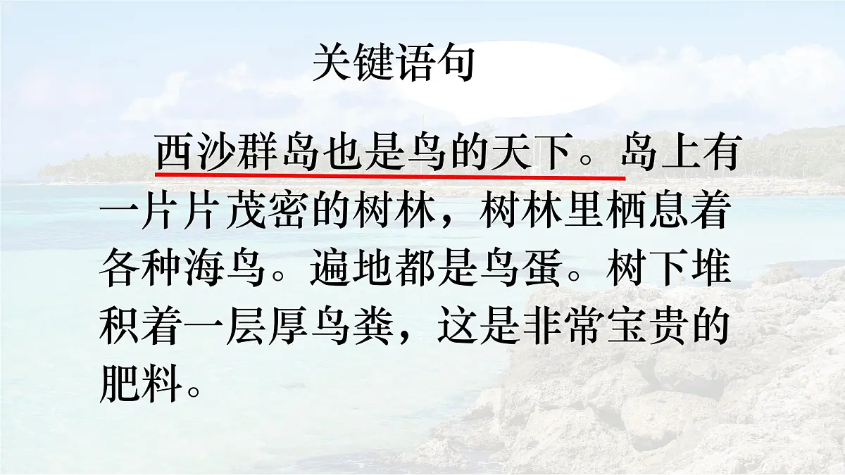 统编版语文三年级上册课件《16 富饶的西沙群岛》第7页