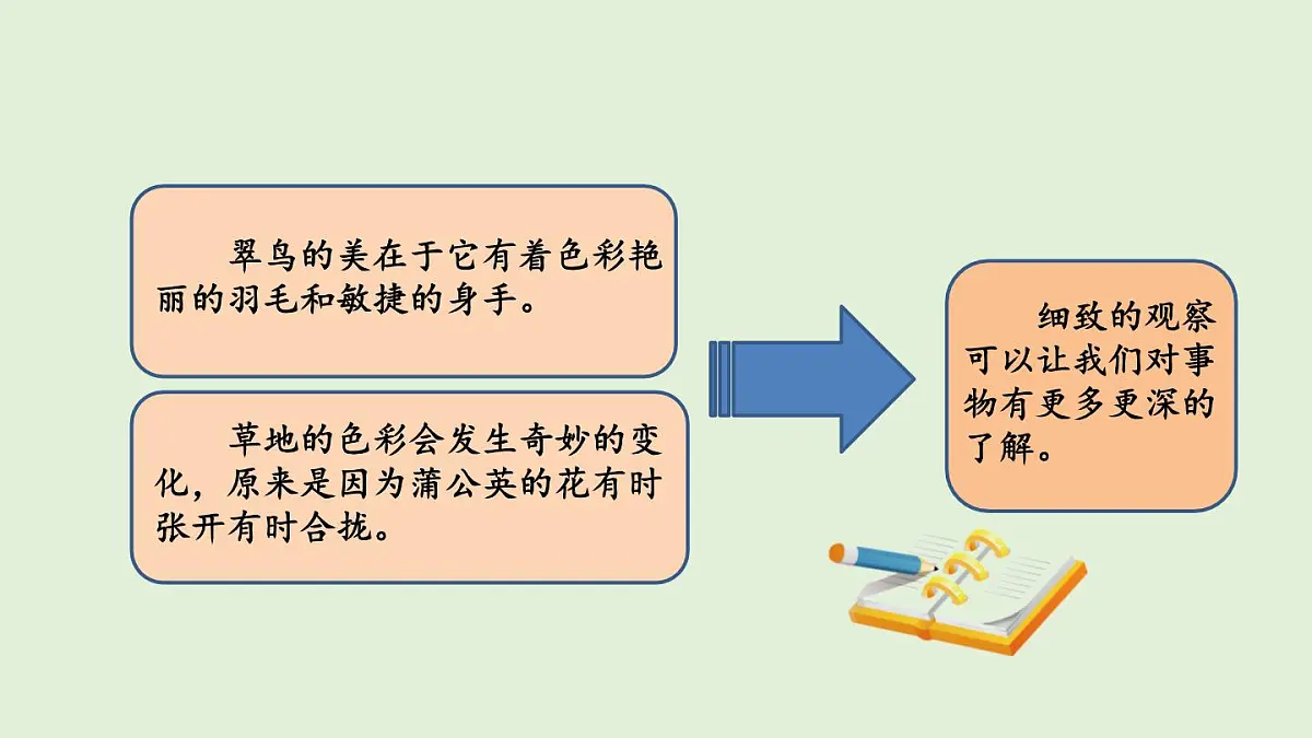 梳理交流与初试身手(课件)2025-2026学年统编版三年级语文上册第4页