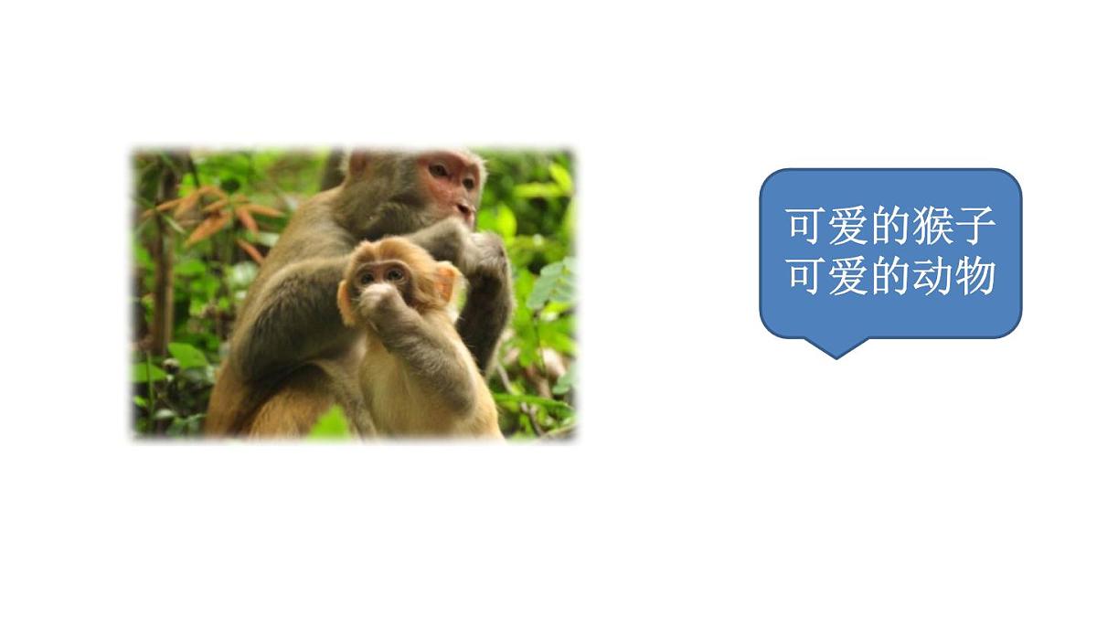 统编版语文三年级上册第五单元习作:我们眼中的缤纷世界 课件第4页