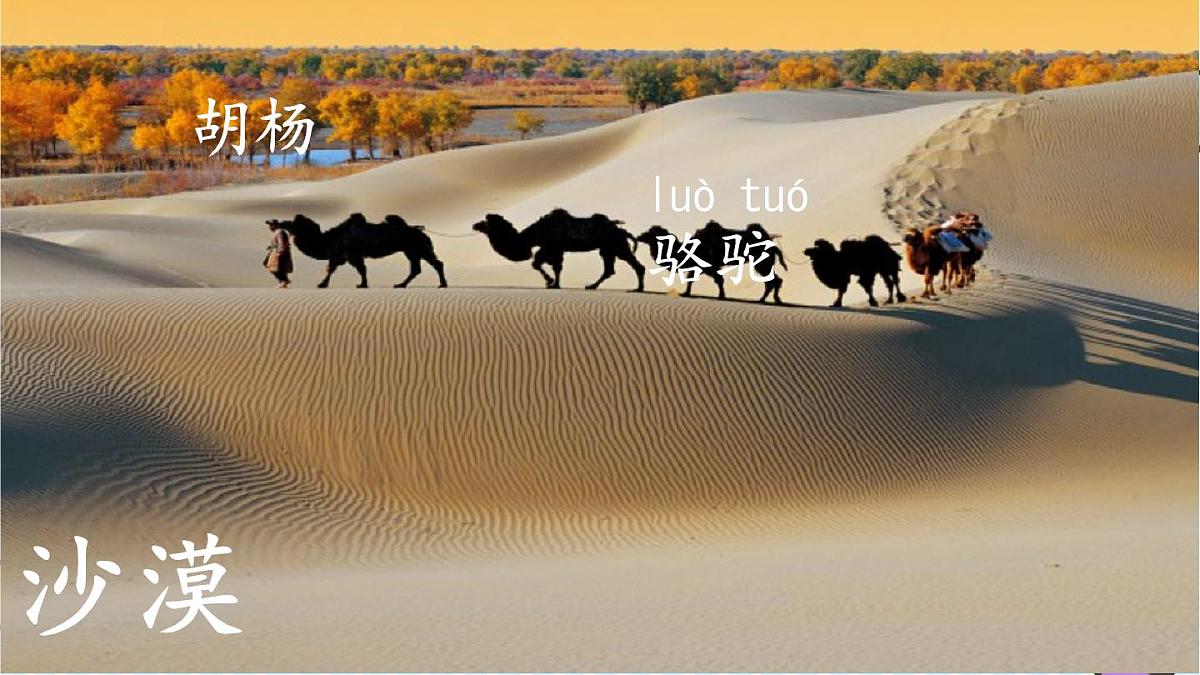 统编版语文二年级上册课件《语文园地七》第5页