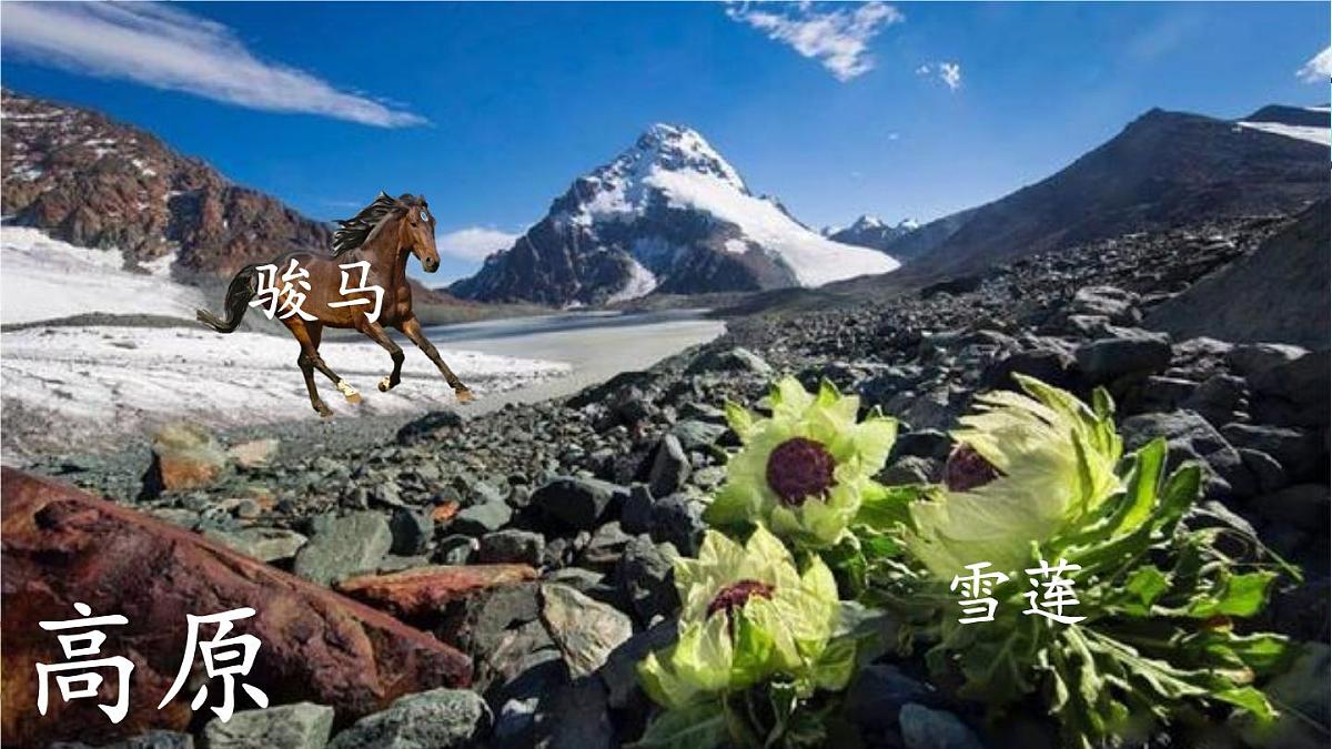 统编版语文二年级上册课件《语文园地七》第6页