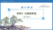 小学语文统编版（2024）一年级上册（2024）口耳目手足备课ppt课件