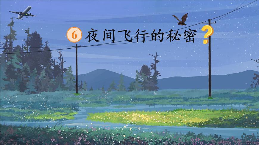 6 夜間飛行的秘密第5頁