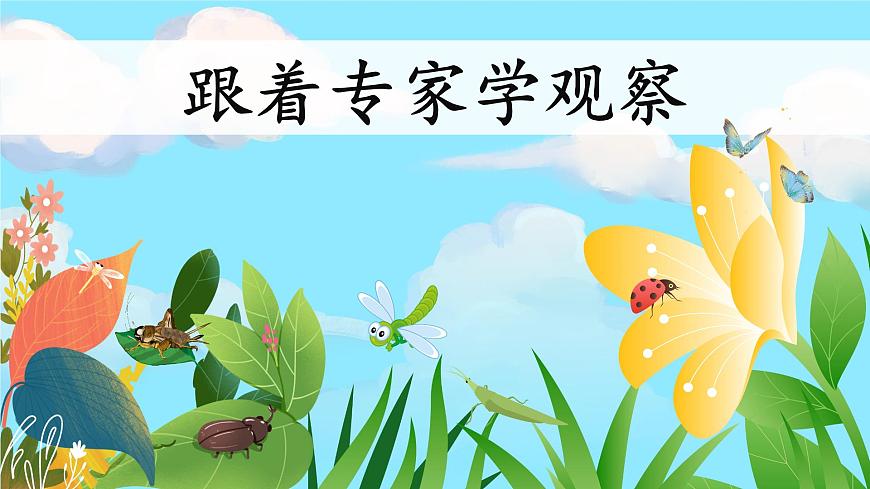 11 蟋蟀的住宅第1頁