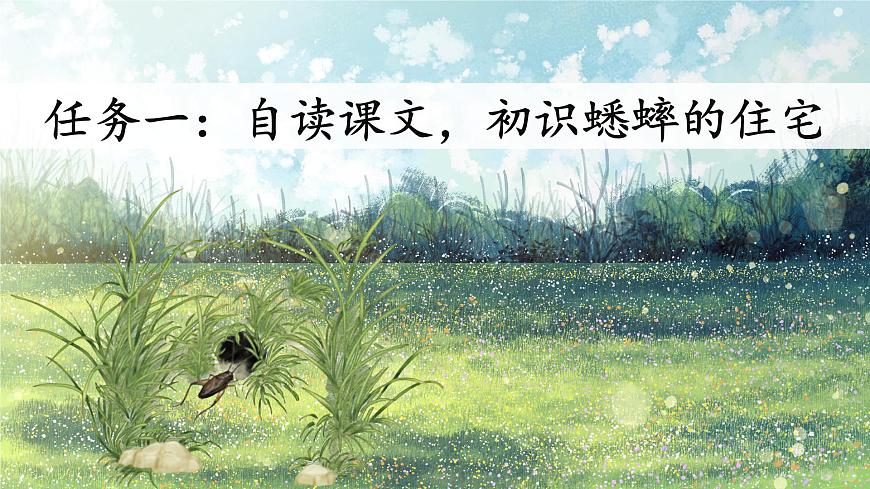 11 蟋蟀的住宅第5頁