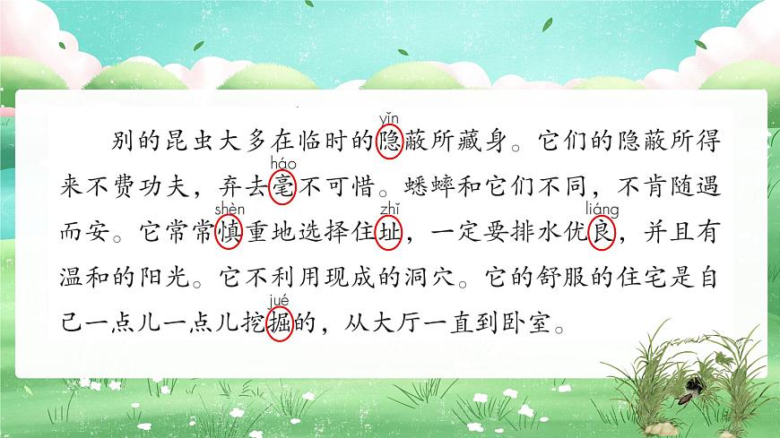 11 蟋蟀的住宅第6頁